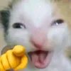 yukii5.6