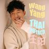 หวังหยาง王阳-FCTH
