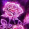 marwaalqudspal55