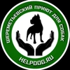 help_dog_ru