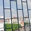 folati6