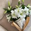 umkhaled7937