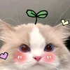ziebvvsgsg5112