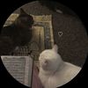 hello_1233123