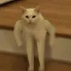 hndmqkilala