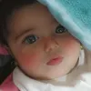 alshemary1