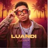 luandi.cl