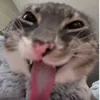 heidbbdjw