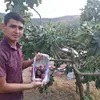nacep04