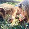 Amy’s Acres Rescue/Sanctuary🐽