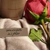 noonaal_zahrani
