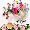 rasharasha2340