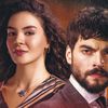 __hercai