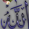 hamza_annesi