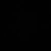 rox_7_