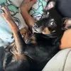 ashleycastro5525