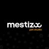 mestizoo.petstudio