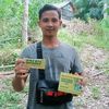 rokysibungsu