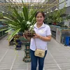 ngoanhtuyet799