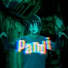 pandi_editz0