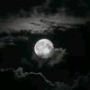haidarmustofa_24