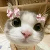 3bebapnef