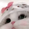 syjzxo