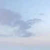 _matchalatee__1