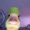 woeofjfrjjr