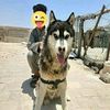 abo_eldeb
