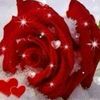 ahmad543345ahmadgmail.co