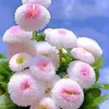 trn.th.thanh.m.tm