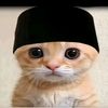 yuniwelly1