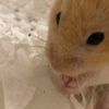 chris__0509