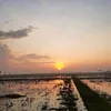 buna_titih