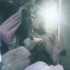 renshaa_