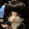 hooman2341