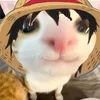 esechaan