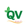 Cây Giống Quyền Vũ