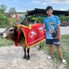 thana_pat555
