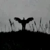 gon_vagner