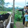 yantisusilawati369