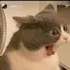 hey._.761