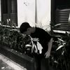 cndraww_