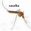 soyaawq_1