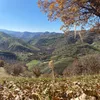 sharbazhernature1