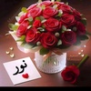 noor.elalf