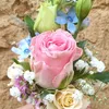 helenrose2083
