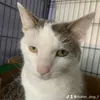 freddyfuzzynuts