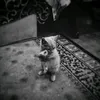 _bob40__